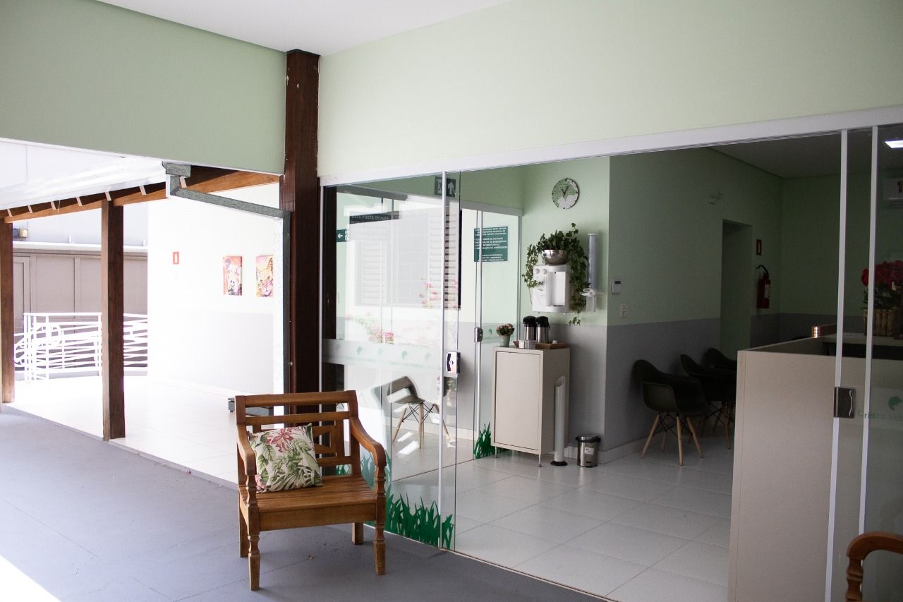 Galeria