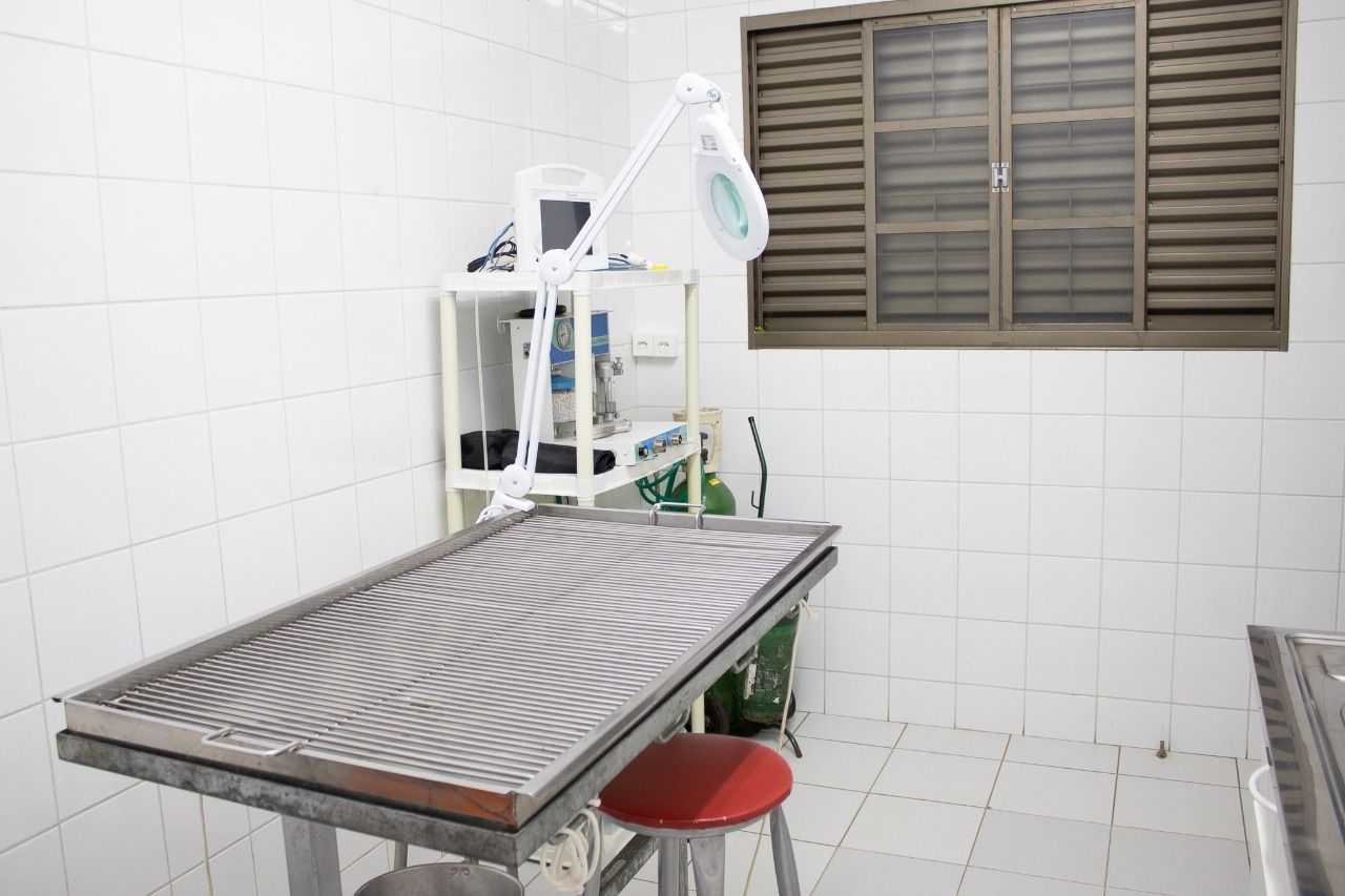 Galeria