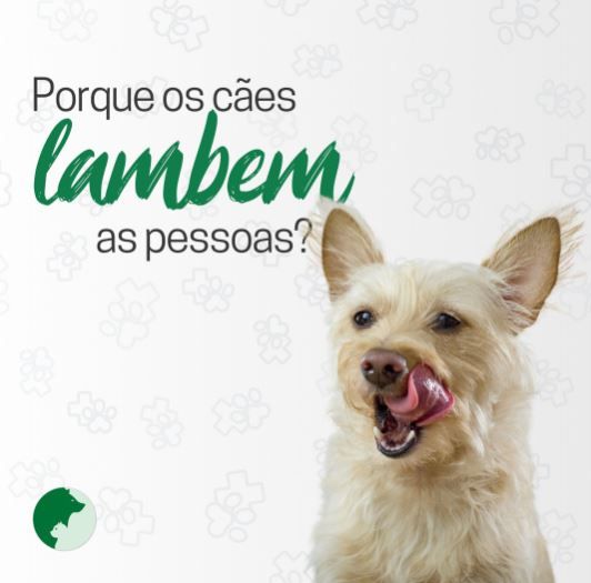Publicação do @centrovetsirleimanzan